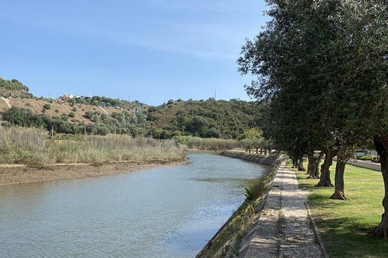 Von Albufeira: Tour nach Lagos, Sagres, Silves und Monchique