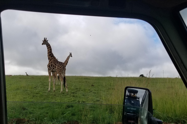 De Kampala: Safari de 3 dias nas Cataratas de Murchison com passeio de rinoceronte