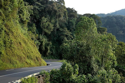2 Day Nyungwe Canopy Walk and Zipline