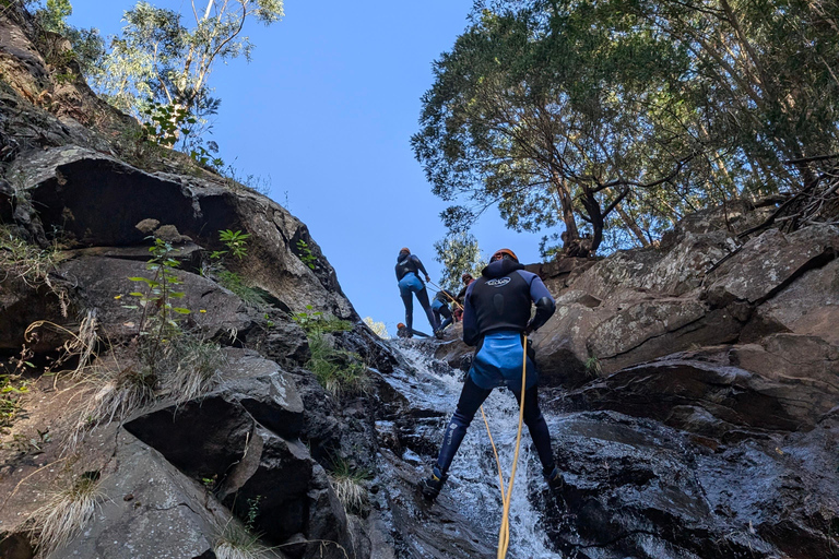 Level 2 - Canyoning Adventure - Intermediate - Funchal