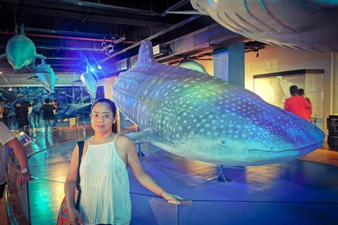 Manila Private Golden Hour Tour with Sunset by the Bay