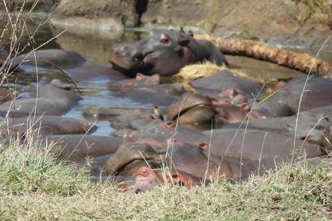 5 Days of Safari Bliss Witness Nature's Wonders