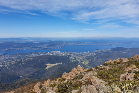 Visite en petit groupe de l'après-midi au Mont WellingtonVisite en petit groupe du mont Wellington au-delà du regard de l'autre