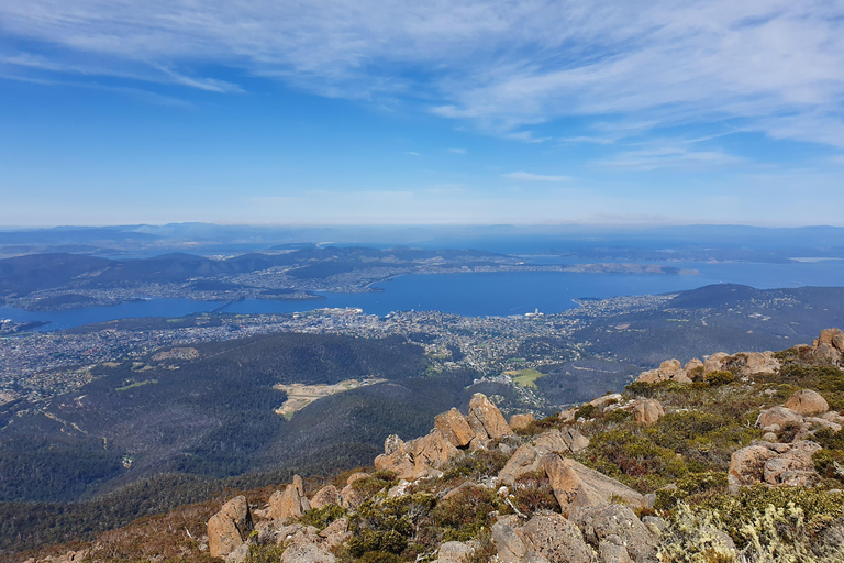 Visite en petit groupe de l'après-midi au Mont WellingtonVisite en petit groupe du mont Wellington au-delà du regard de l'autre