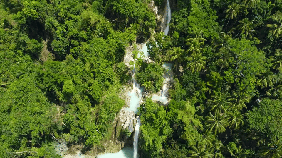 Cebú Sur: Avistamiento de tiburones ballena, Sumilon y cataratas de ...