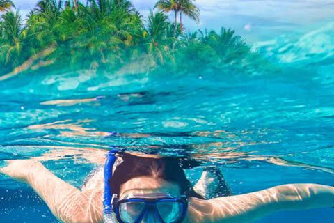 Zanzibar: Privat delfinsafari och snorkling i MnembaDet här alternativet inkluderar upphämtning och avlämning på hotellet