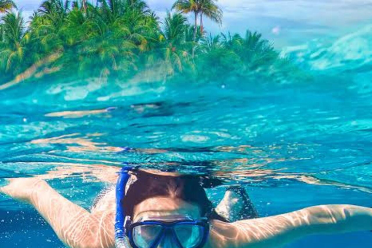 Zanzibar: Privat delfinsafari och snorkling i MnembaDet här alternativet inkluderar upphämtning och avlämning på hotellet