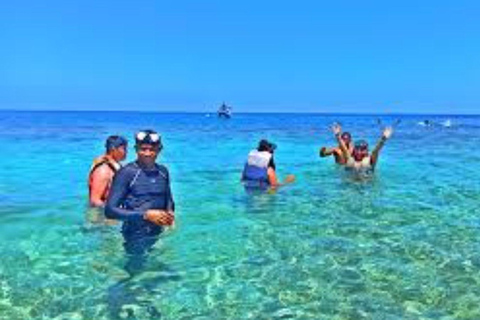 Cartagena: Serene crossing: quiet beach + plankton
