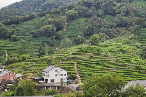 From Shanghai: Hangzhou Private Day Trip with Bullet Train