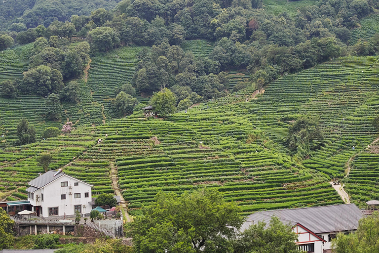From Shanghai: Hangzhou Private Day Trip with Bullet Train