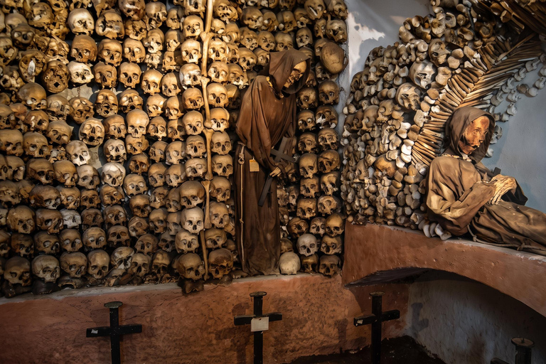 Paris Combo: Catacombs Expert Guided Tour with Seine Cruise