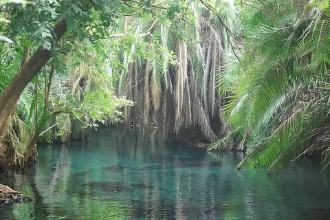 Moshi : Excursión de un día a las Termas de Kikuletwa con traslados