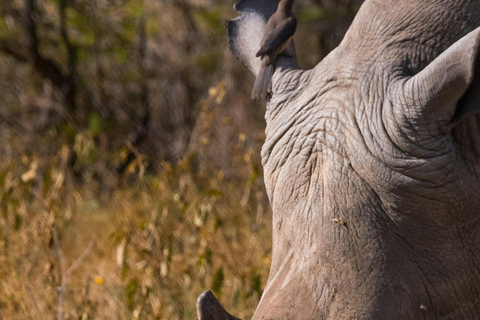 Livingstone: Mosi-oa-Tunya Park, Falls & Sunset Cruise