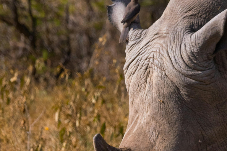 Livingstone: Mosi-oa-Tunya Park, Falls & Sunset Cruise