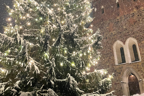 Turku privado de carro a partir de Helsínquia: Catedral e Castelo