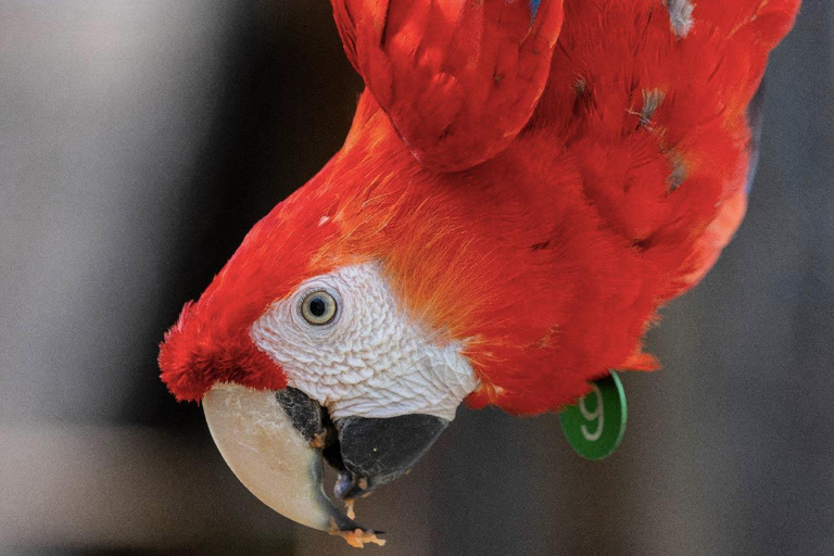 UTV & Horseback Tour with Wildlife Views from Cartagena