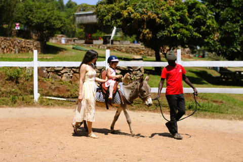 Experiência de passeios de burro para criançasExperiência em passeios de burro para crianças