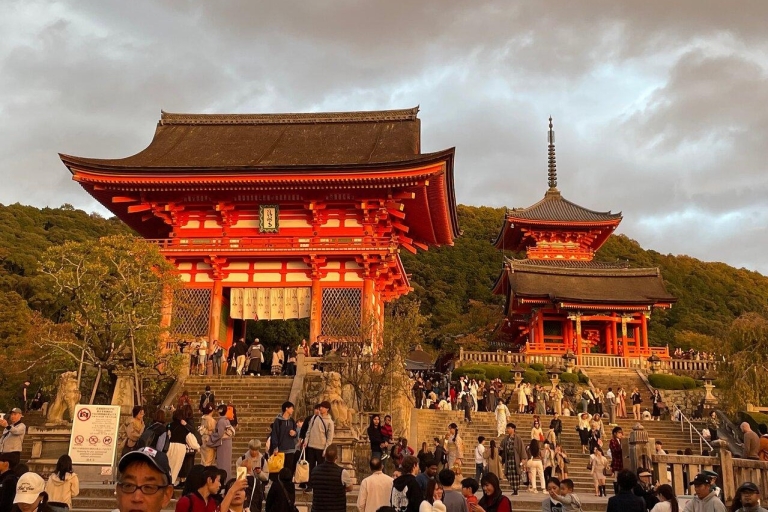 3 Dagen Privé Osaka Kyoto en Nara Tour met Engelse chauffeur