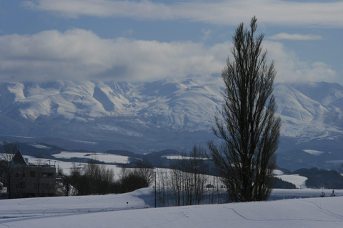 Vertrek Sapporo: Asahiyama Zoo Winter 1-Daagse TourSapporo TV Toren Vertrek Exclusief lunch