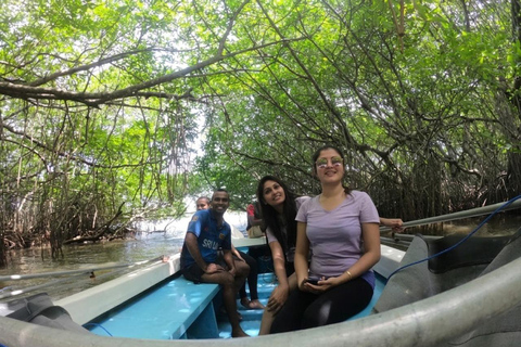 Bentota: Private Mangrove Cave Boat Tour & Wildlife Safari 1-Hour River Highlights Safari