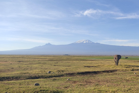 Safari di medio lusso di 6 giorni: Sistemazione di lusso