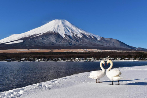 Mt.Fuji:Hakone Cruise, Ropeway&amp;Oshino Hakkai Full-day Tour8:30 AM pick up at Shinjuku station