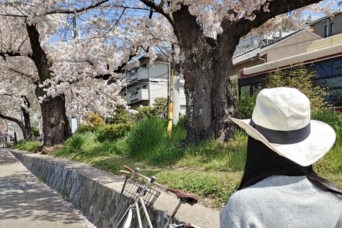 Kioto:Recorrido en Bicicleta por los Tres Jardines