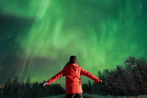 روفانيمي: جولة مضمونة لمشاهدة الشفق القطبي الشمالي + صور