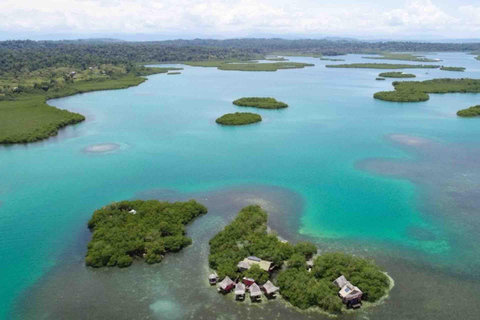 Bocas del Toro : tour en bateau de l&#039;île aux singes et de Cayo Coral