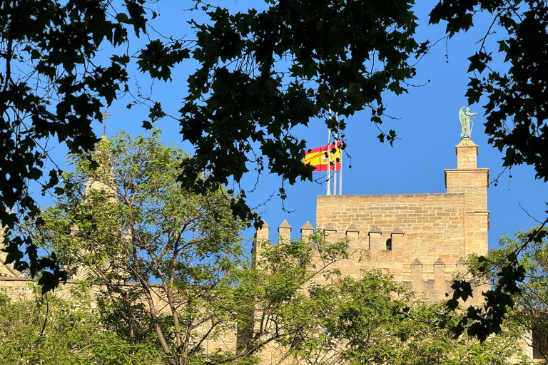 Palma en persona y lejos de las multitudes