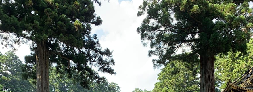 Nikko : visite à pied privée des sites classés au patrimoine mondial