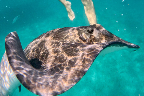 Barbados: Small-Group Catamaran Cruise with Snorkeling