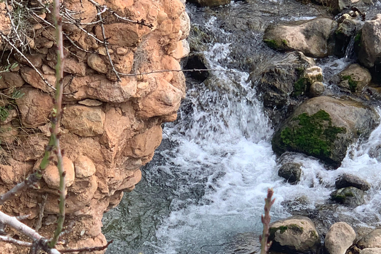 A cidade de Fornalutx e as caminhadas até à quinta de oliveiras da montanha