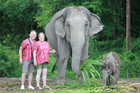 Chiang Mai: Elephant Sanctuary, Waterfall & Bamboo Rafting