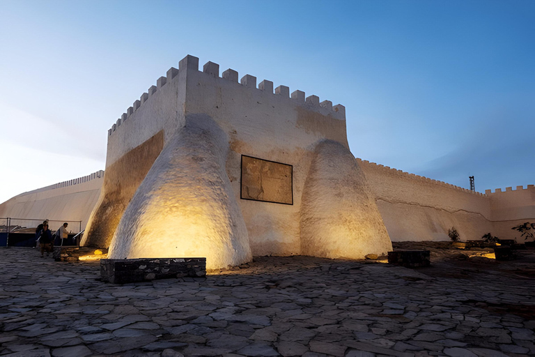 Desde Marrakech Excursión de un día a Agadir