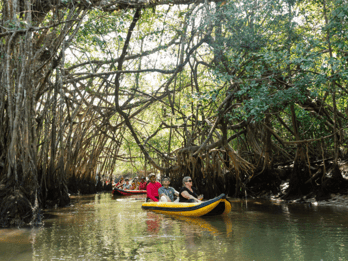 Khao Lak: Little Amazon Canoe & Old Town Tour met lunch