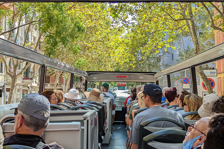 Hongkong: Wycieczka nocna + Open Top Bus + Nocny targ