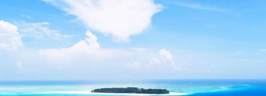 Mnemba Snorkeling Tour, Jozani Forest, The Rock Restaurant