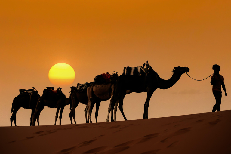 3-tägiger Ausflug in die Wüste Merzouga3 Tage Merzouga Désert Standard Tente