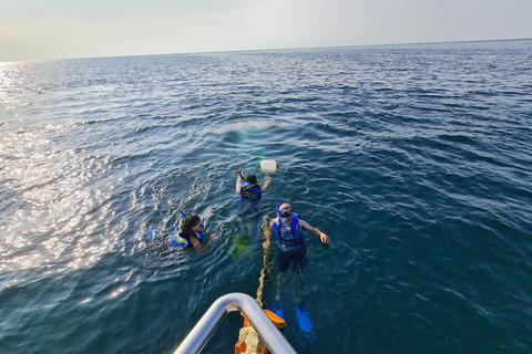 Jeddah: Red Sea Snorkeling and Diving Yacht Trip Diving