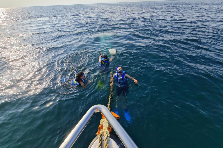 Jeddah: Red Sea Snorkeling and Diving Yacht Trip Diving