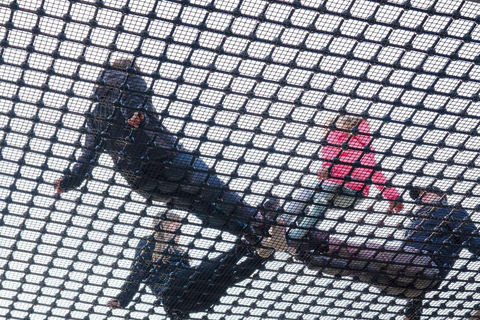 Usedom: Treetop Walk Adventure on Usedom Island