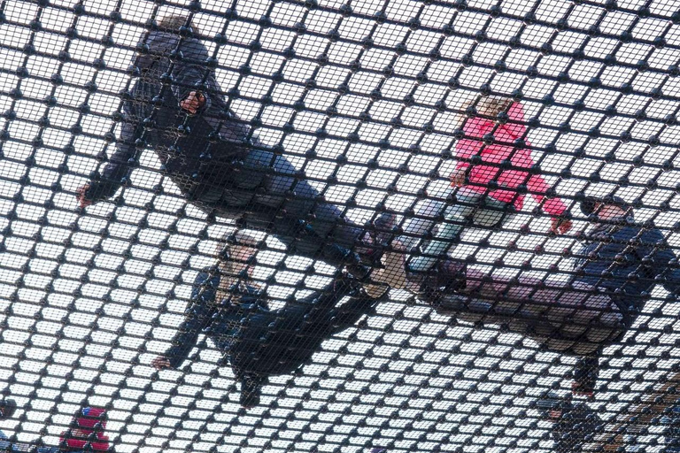 Usedom: Treetop Walk Adventure on Usedom Island