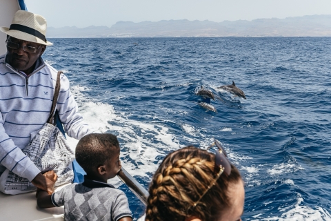 Gran Canaria: boottocht dolfijnspotten3 uur durende boottocht dolfijnspotten, exclusief vervoer