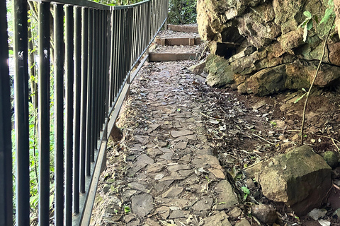 Essence of Iguazú: Full-Day Tour of Iguazú Falls (Brazil Side) and São João Trail Essence of Iguaçu: Full Day at Iguaçu Falls, Brazil, and São João Trail