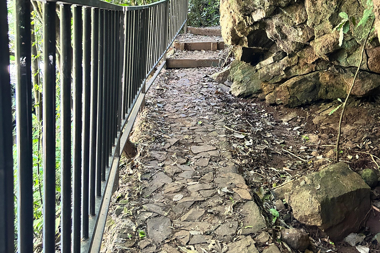 Essence of Iguazú: Full-Day Tour of Iguazú Falls (Brazil Side) and São João Trail Essence of Iguaçu: Full Day at Iguaçu Falls, Brazil, and São João Trail