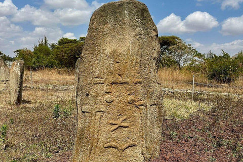 Addis Ababa: Melka Kunture, Adadi, Tiya Prehistoric Day Trip