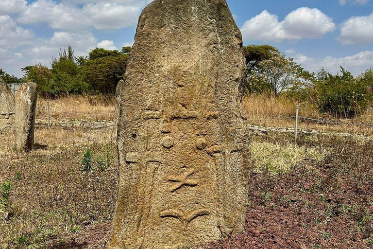Addis Ababa: Melka Kunture, Adadi, Tiya Prehistoric Day Trip
