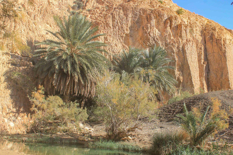 In the footsteps of Star Wars in Tunisia: 3-day tour from Djerba