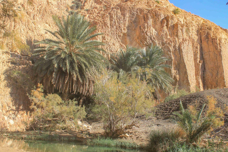 In the footsteps of Star Wars in Tunisia: 3-day tour from Djerba